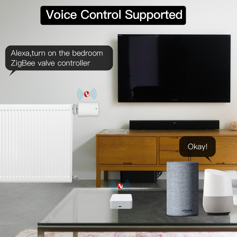 Tuya – Hub de passerelle intel - Smart Home Hub Matter avis et prix