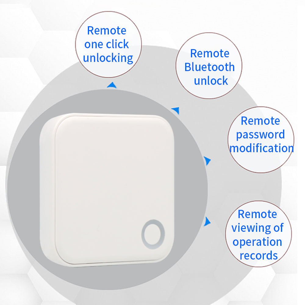 2.4G + 5G TTLOCK WIFI passerel - Smart Home Wifi Hub avis et prix