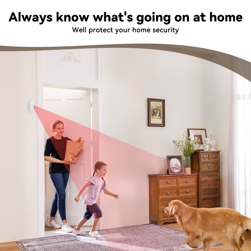 Détecteur de mouvement PIR int - Smart Home Project avis et prix