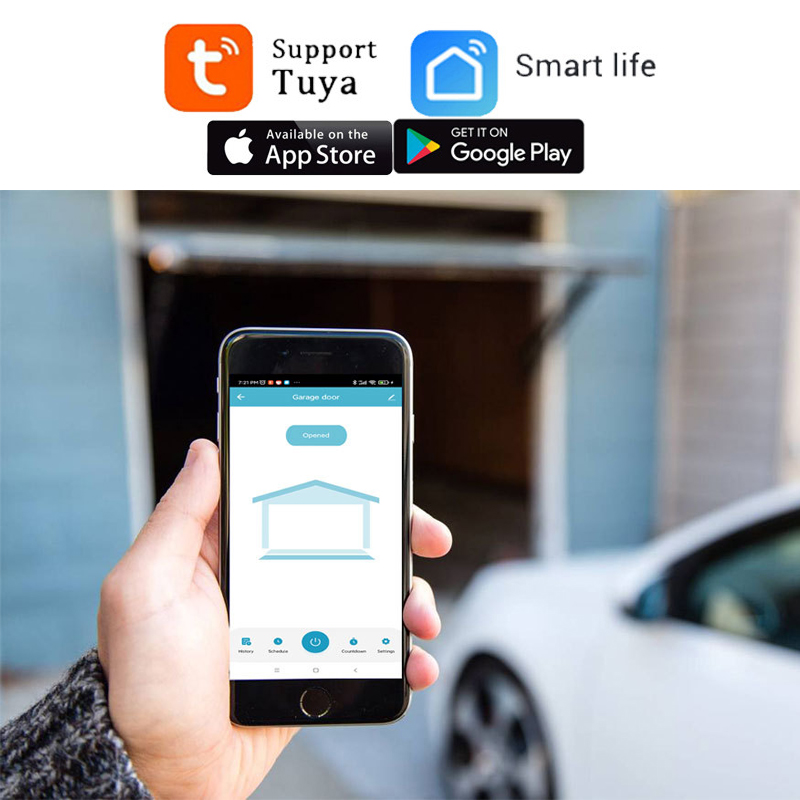 TUYA WIFI 2.4G contrôleur d'ou - Smart Garage Door Opener avis et prix