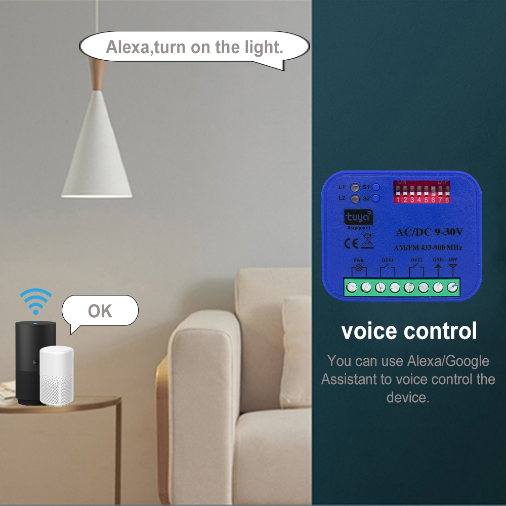 Ouvre-porte de garage WiFi 2CH - Smart Garage Door Opener avis et prix